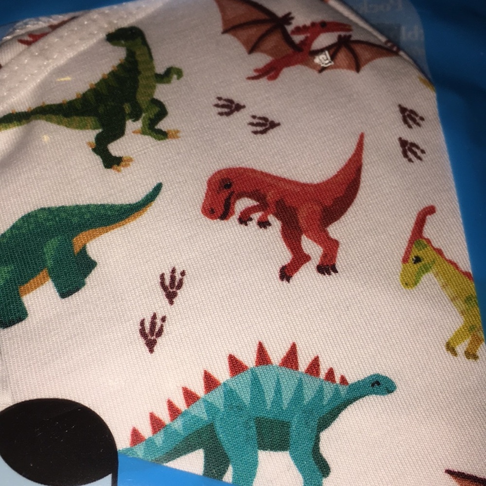 Kids youth Mask dinosaur Dino print cotton unisex